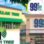 The Ultimate Guide to Shopping Smart at Dollar Tree and 99 Cent Store